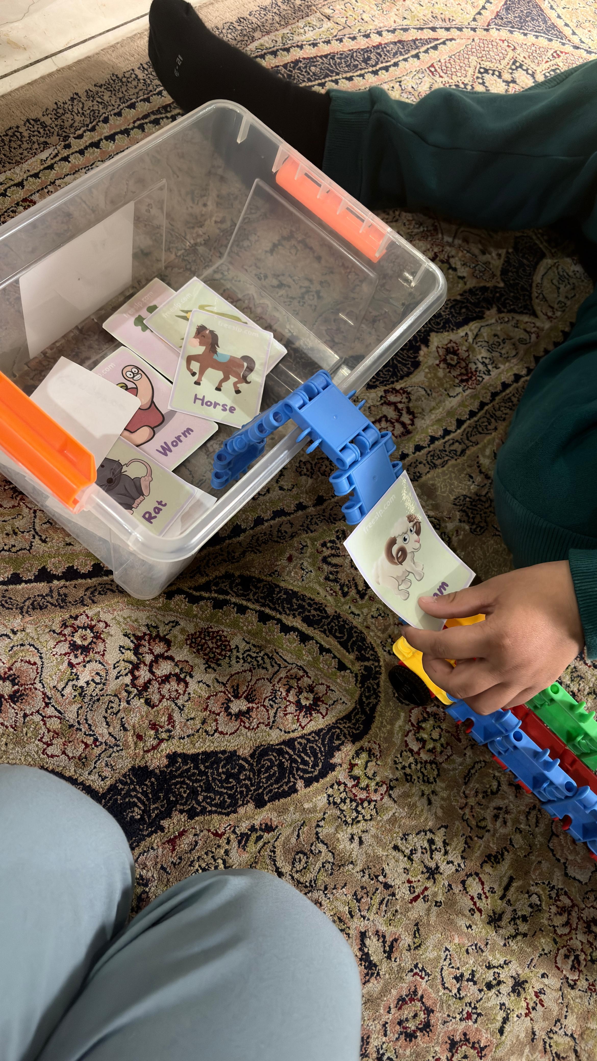 Animal flashcards and building toys used in a therapy activity